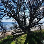 Σπίτι διακοπών 8 Person In Nykobing F-by Traum *
